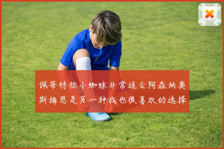 佩蒂特称小蜘蛛非常适合阿森纳奥斯梅恩是另一种我也很喜欢的选择